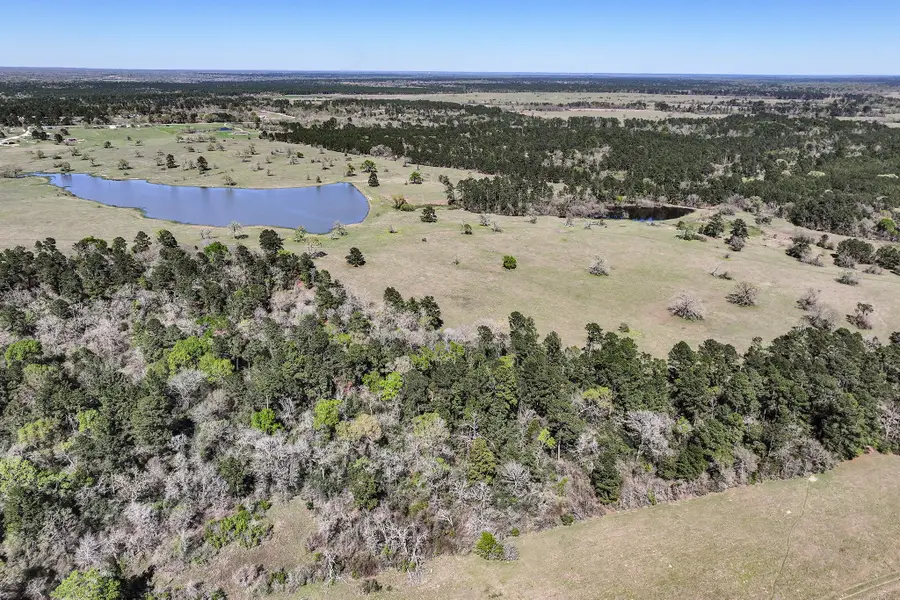 784 Acres Round Prairie Road, Huntsville, TX 77320 - #2