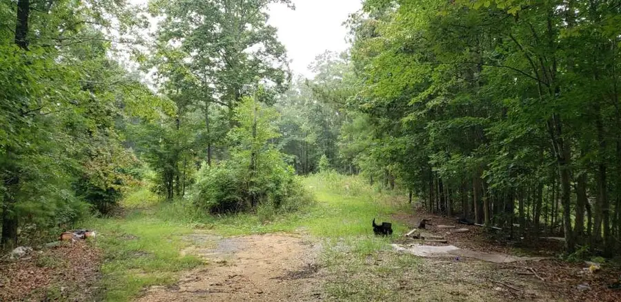 7667 Hwy 101 North, Yorkville, GA 30153 - #2