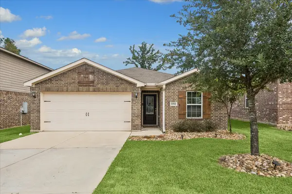22522 Steel Blue Jaybird Drive, Hockley, TX 77447