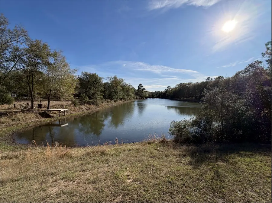 26342 Deerwood Drive, Hempstead, TX 77445 - #2