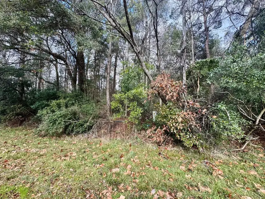 TBD Fm 92, Woodville, TX 75979 - Image #3