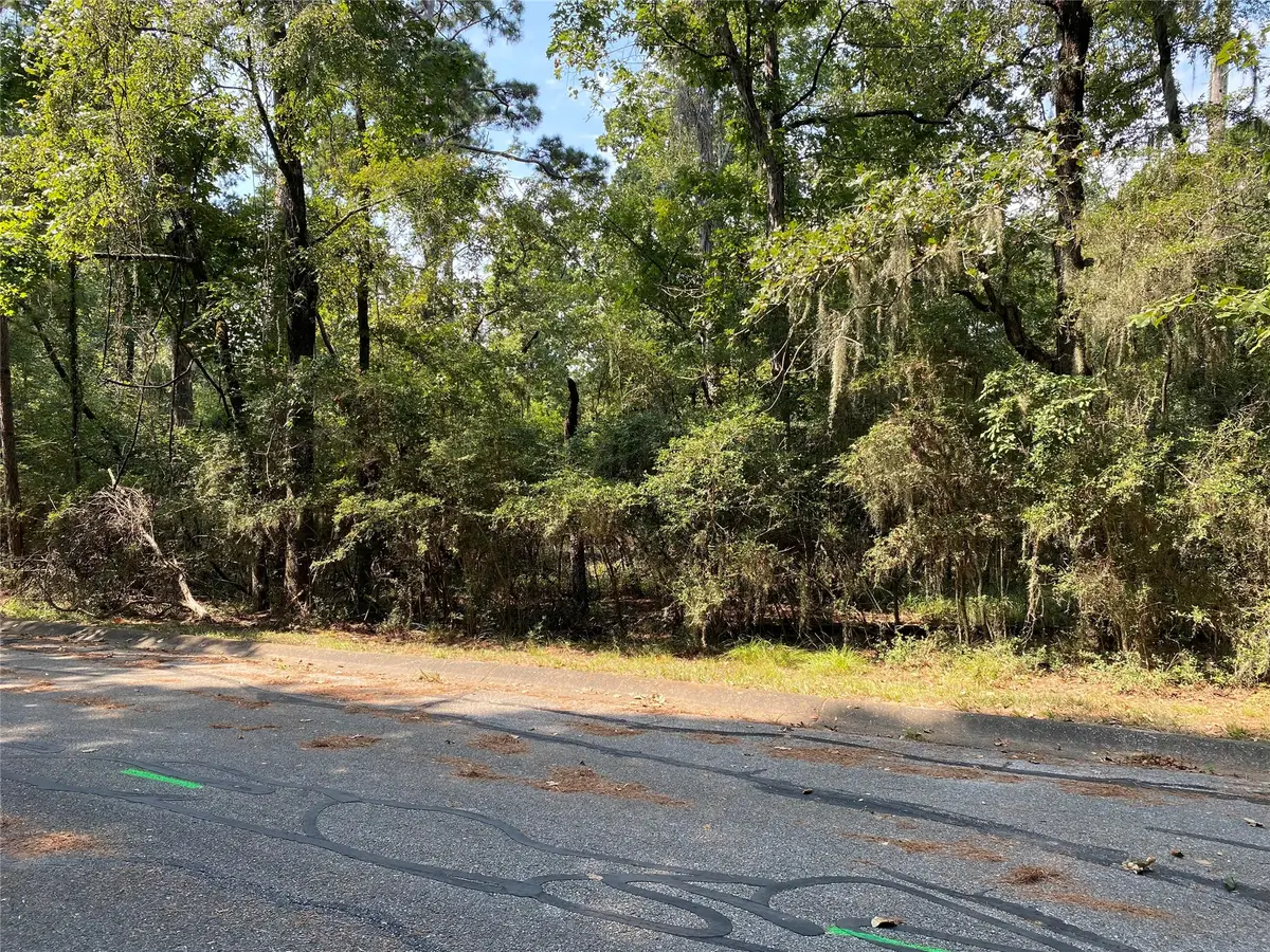 001 Peach Drive, Huntsville, TX 77320 - #1