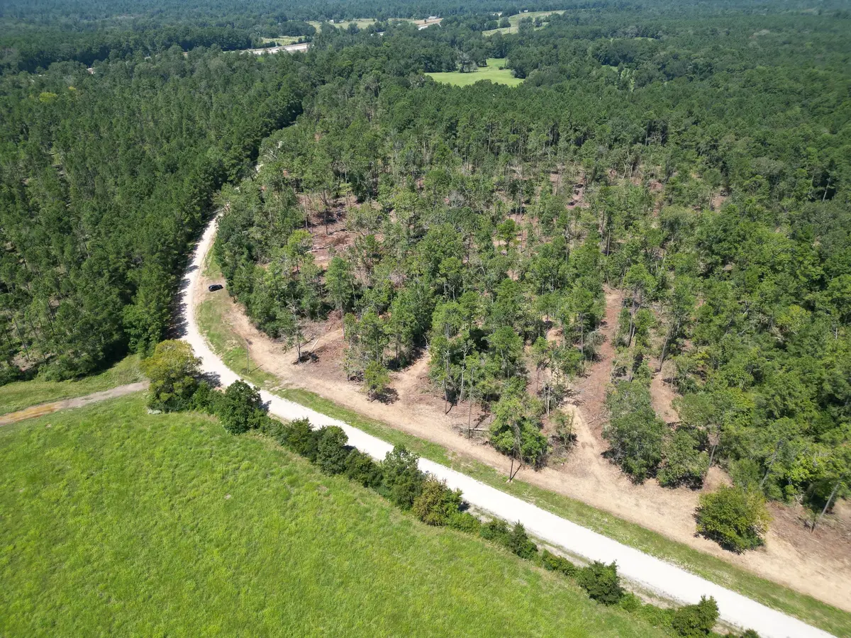 TBD Vick Spring Road, New Waverly, TX 77358 - Image #1