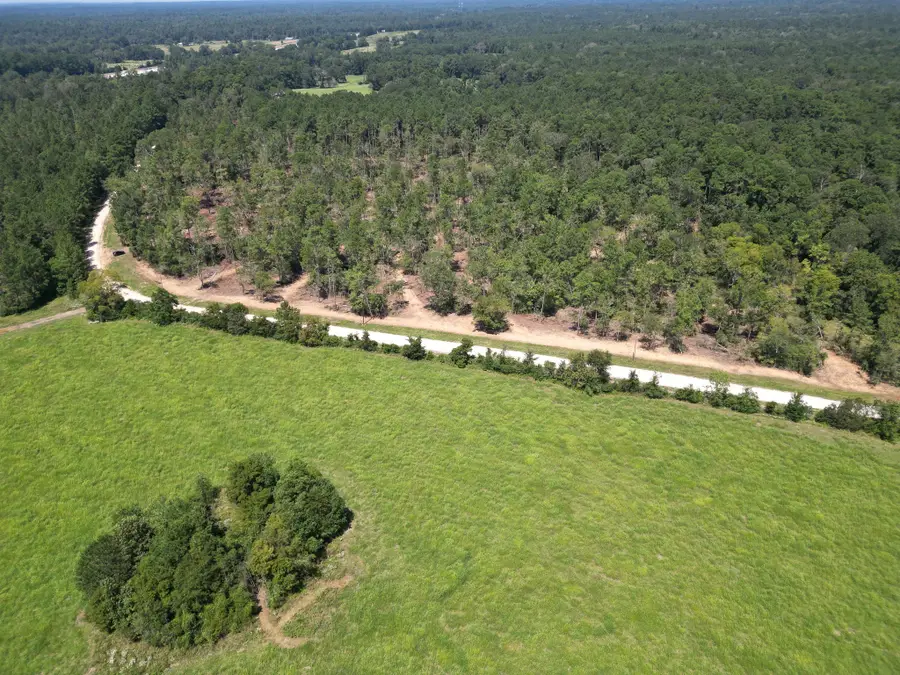 TBD Vick Spring Road, New Waverly, TX 77358 - Image #3