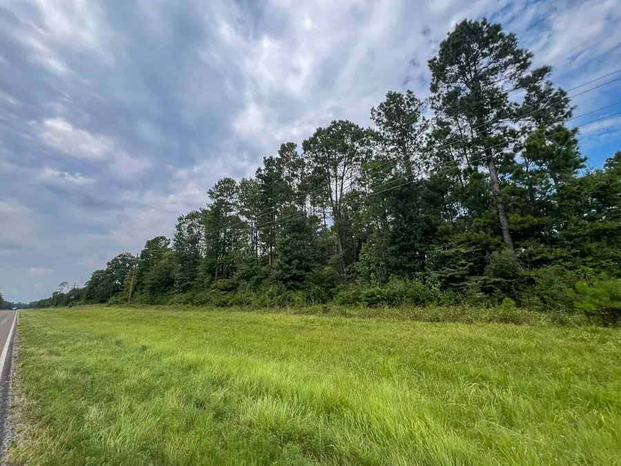 36 Highway 94 Road, Groveton, TX 75845 - #2