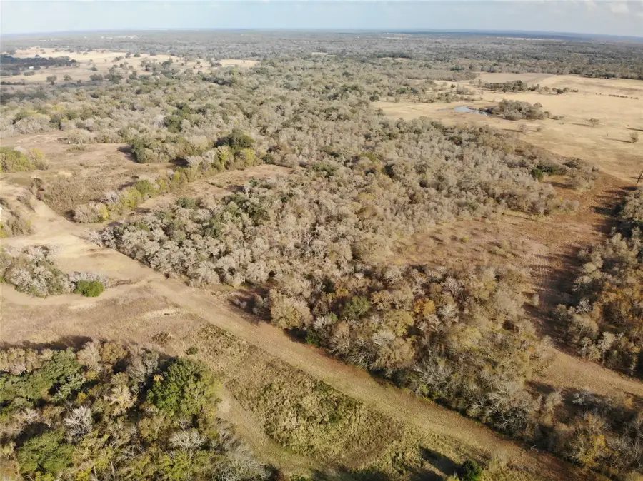 15.85 Acres Private Road 4001, Somerville, TX 77879 - #2