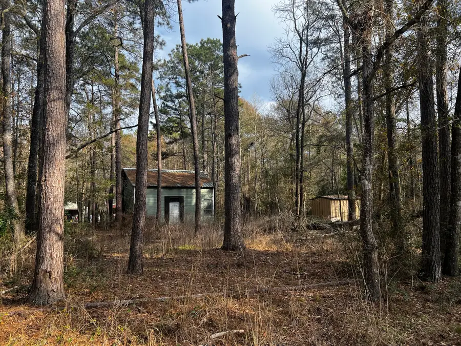 18579 Solomon, Cleveland, TX 77328 - #2