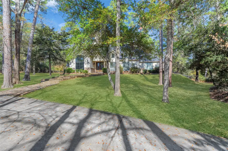 10235 Holly Grove, Conroe, TX 77304 - #3