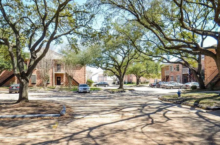 2255 Braeswood Park Drive #168, Houston, TX 77030 - #3