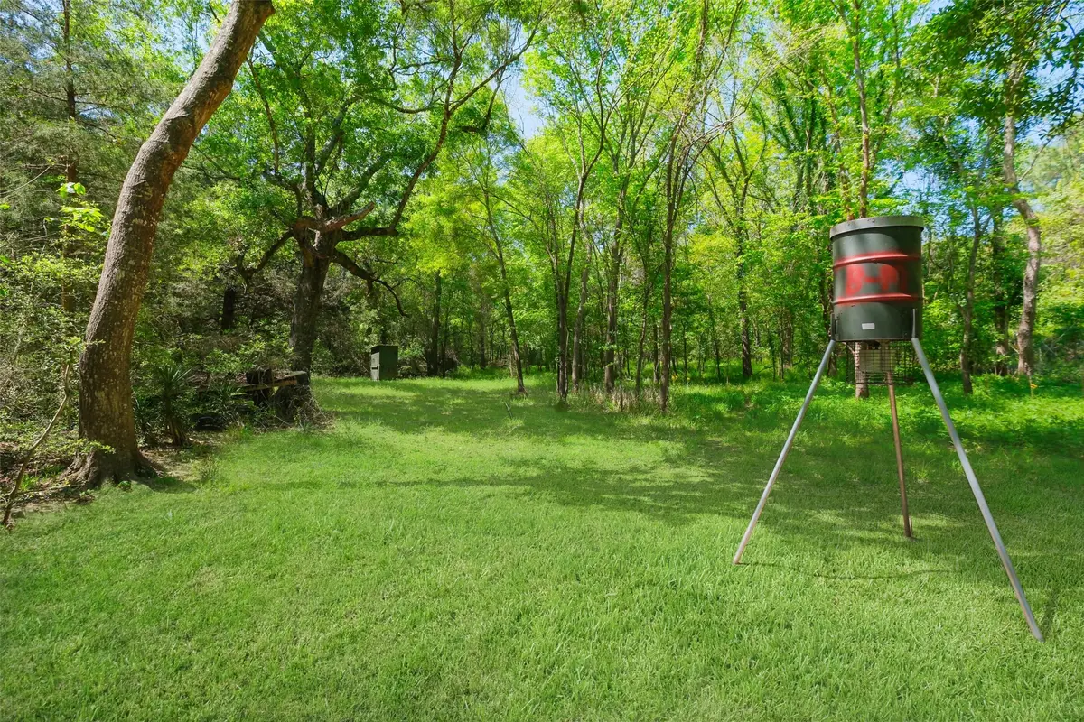 24718 Squirrel Road, New Ulm, TX 78950 - #1