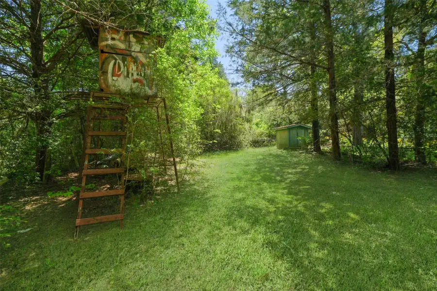 24718 Squirrel Road, New Ulm, TX 78950 - #2