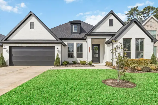 15208 Tree Swallow Court, Magnolia, TX 77354