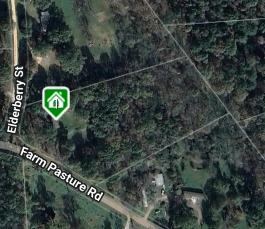 10 Elderberry Road, Shepherd, TX 77371 - Image #3