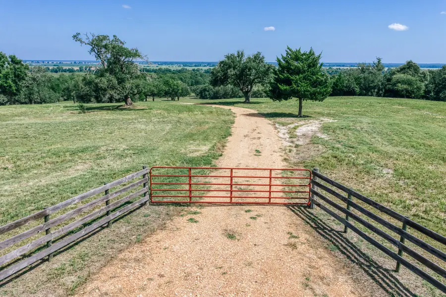 11755 Puddin Ln, Washington, TX 77880 - #3