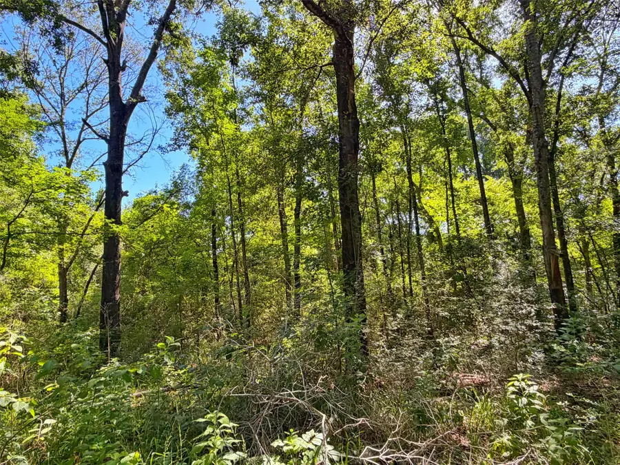 TBD I-45 West Feeder Rd, Centerville, TX 75833 - #2