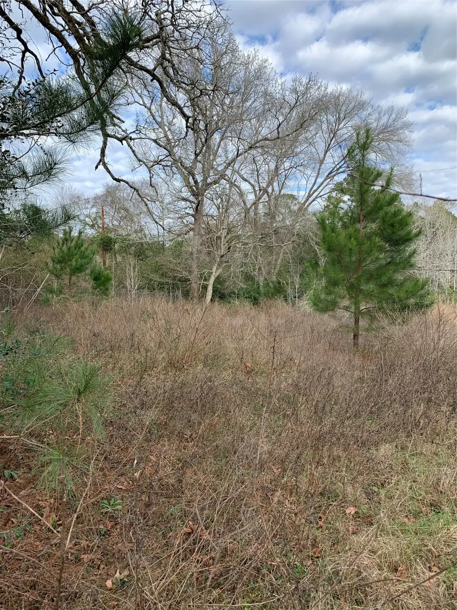 373 Johnson Road, Huntsville, TX 77320 - #2