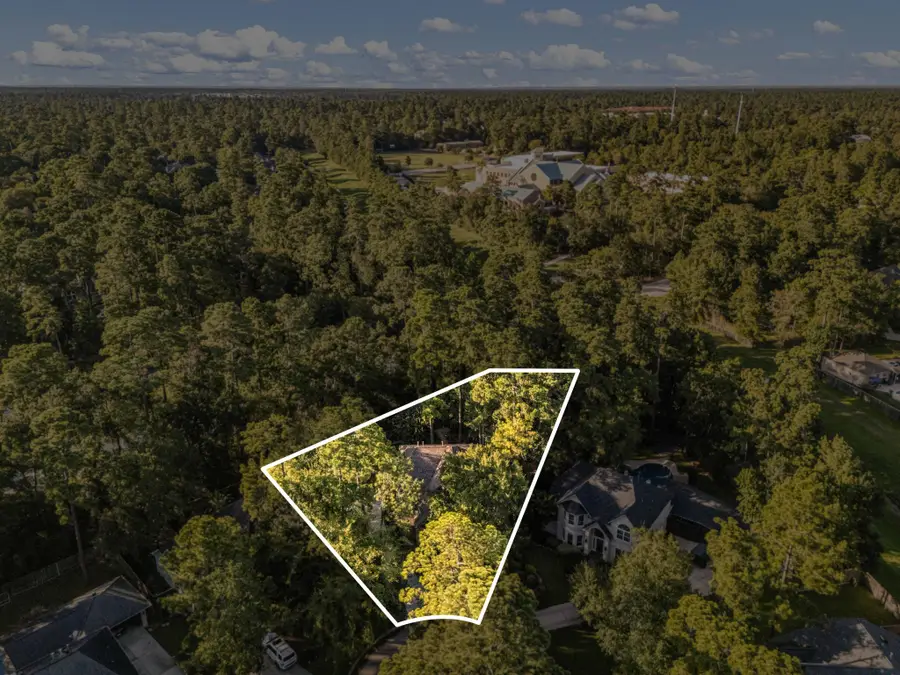 205 Purple Slate Place, The Woodlands, TX 77381 - #3
