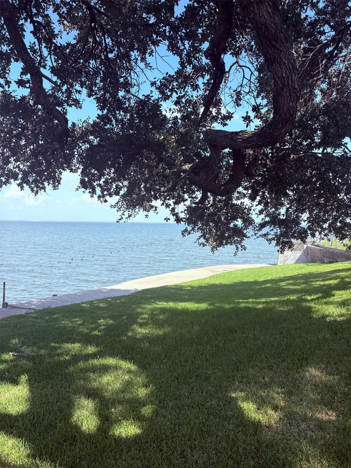 6 Pine Bluff Street, La Porte, TX 77571 - #1