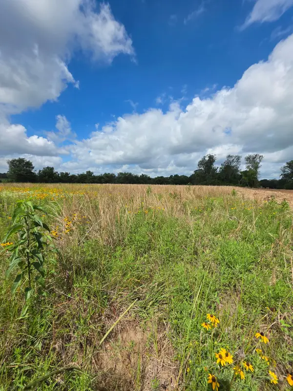 TBD LOT 16 County Road 201, Plantersville, TX 77363