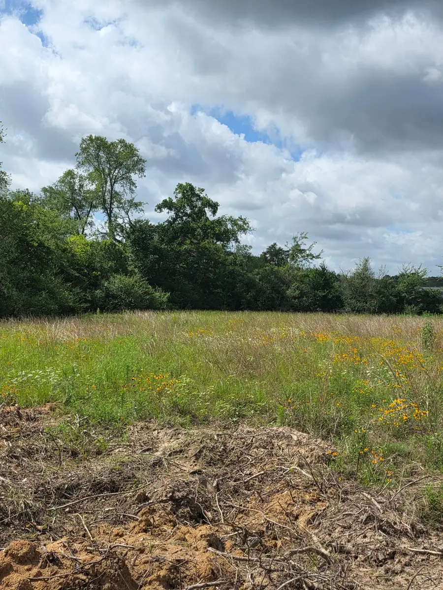 TBD LOT 16 County Road 201, Plantersville, TX 77363 - #3