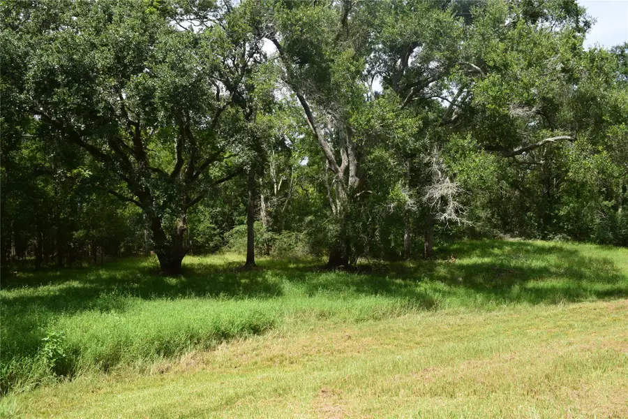 0 County Road 121, Rosharon, TX 77583 - #3