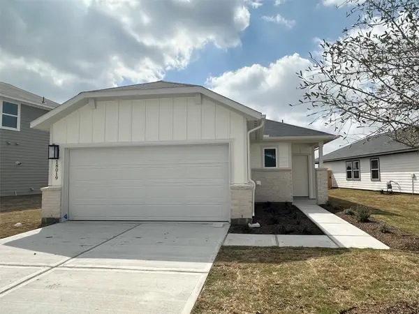 18019 Lasso Mills Drive, Hockley, TX 77447