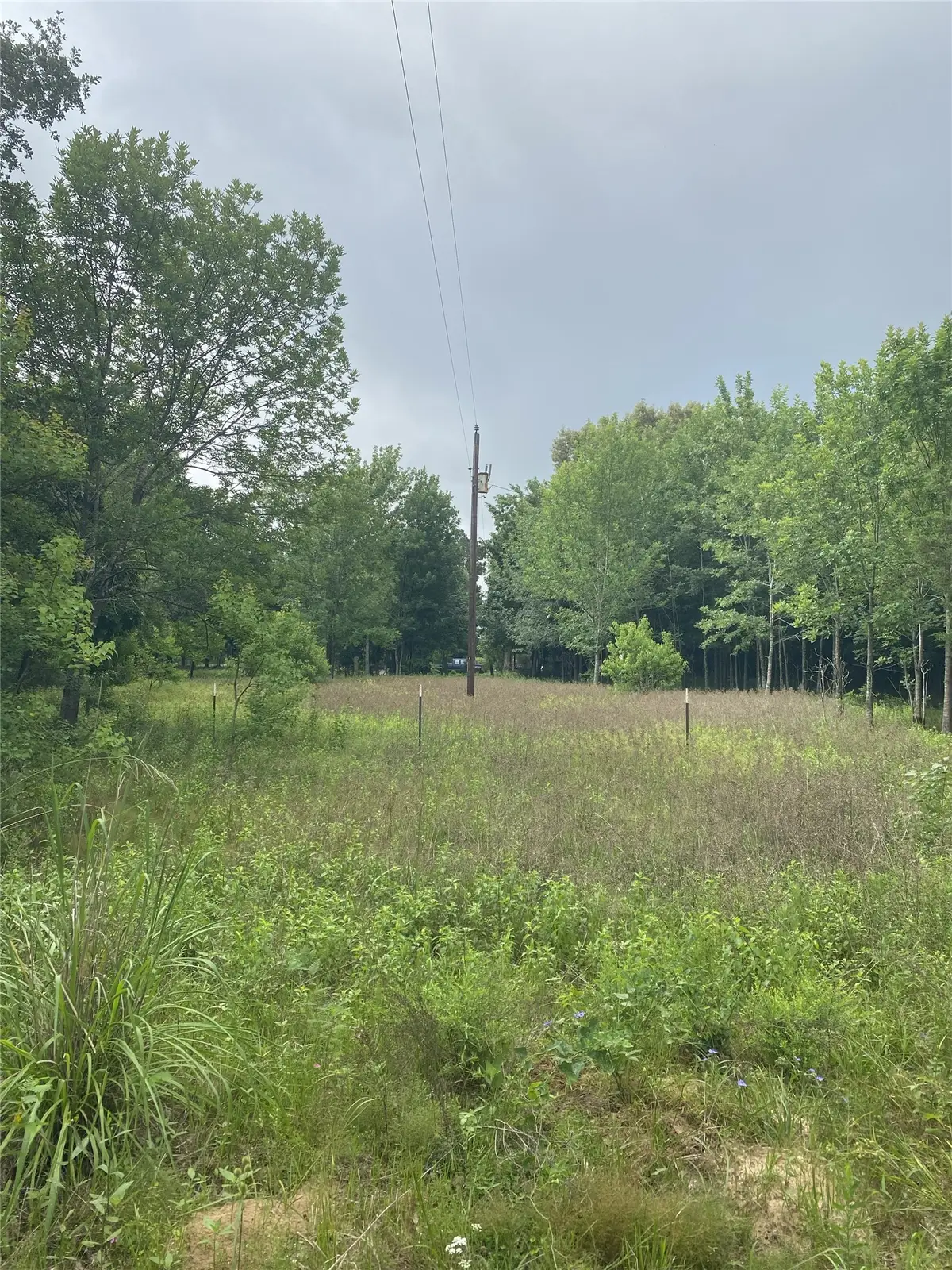 NA Cr 3052, Crockett, TX 75835 - #1