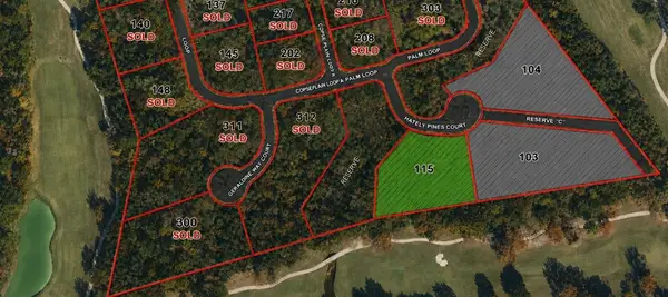 115 Chateau Pines Court, Montgomery, TX 77316