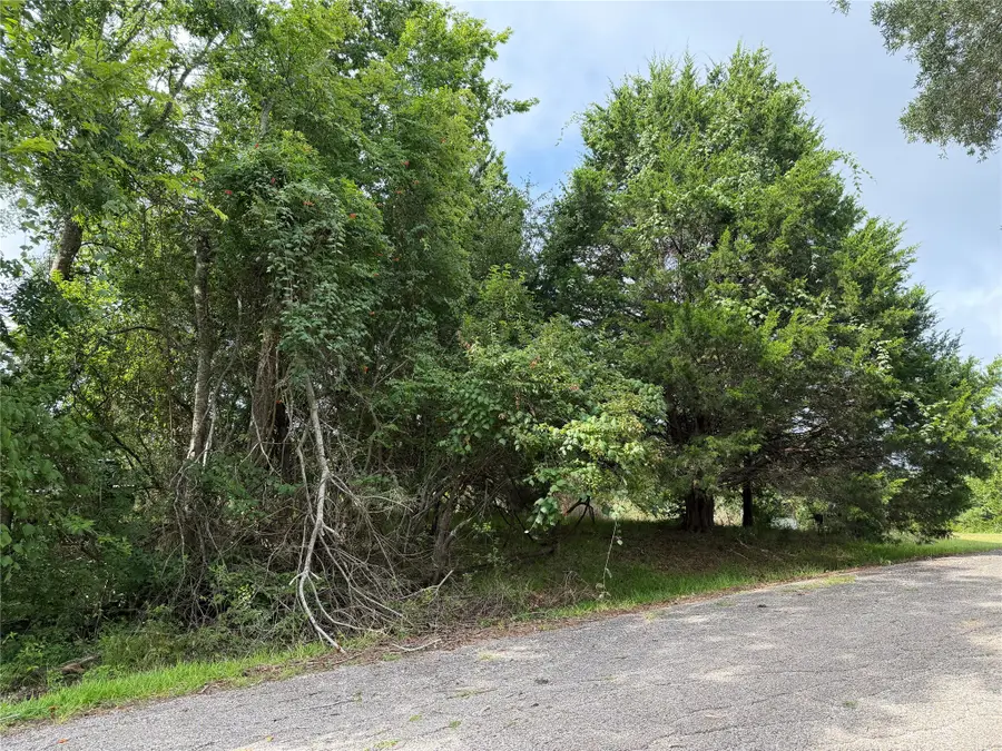 0 Timber Cove Lane, Coldspring, TX 77331 - #3