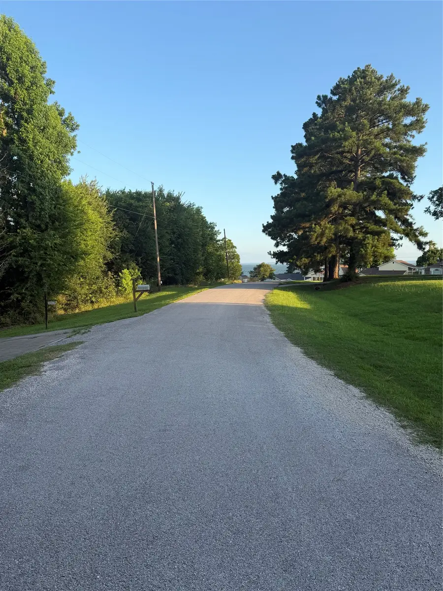 715 Bridgeview Drive, Onalaska, TX 77360 - #2