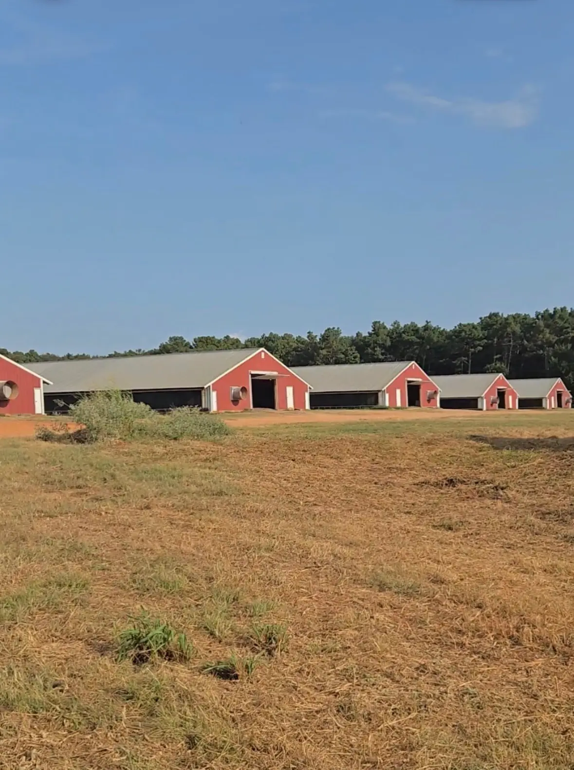 2094 County Road 848, Cushing, TX 75760 - #1
