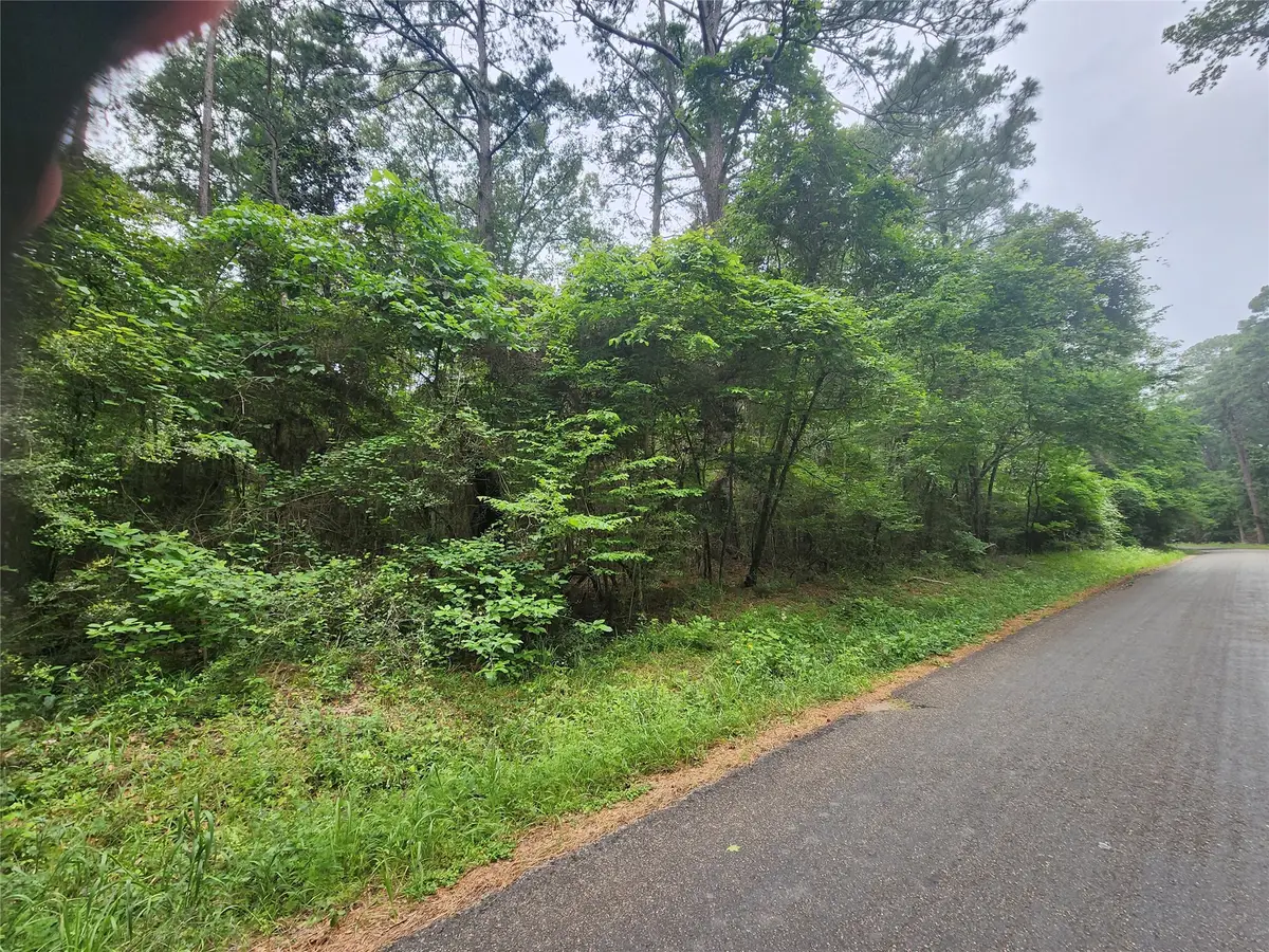 207 Long King, Livingston, TX 77351 - #1