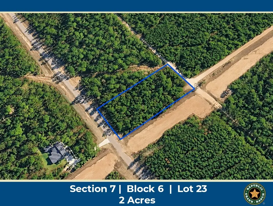 15273 Forest Grove Drive, Willis, TX 77378 - #1