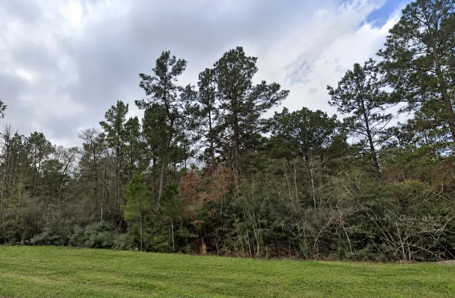 15273 Forest Grove Drive, Willis, TX 77378 - #3