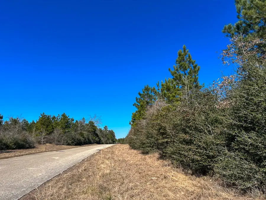 T-2 Cr 2140, Crockett, TX 75835 - Image #3