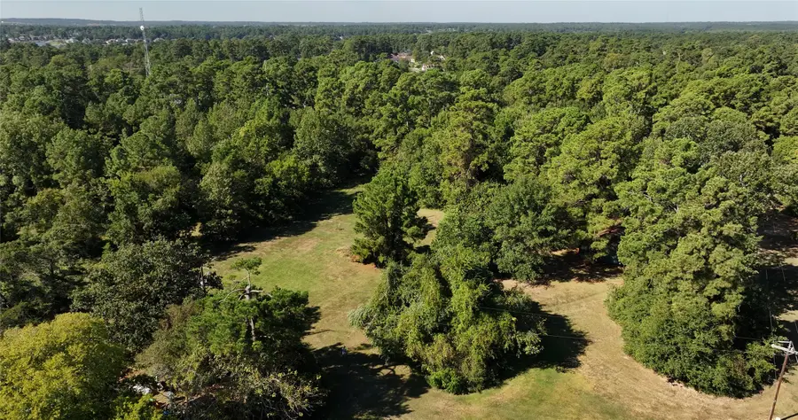 0043 Pearson Rd, Montgomery, TX 77356 - Image #3