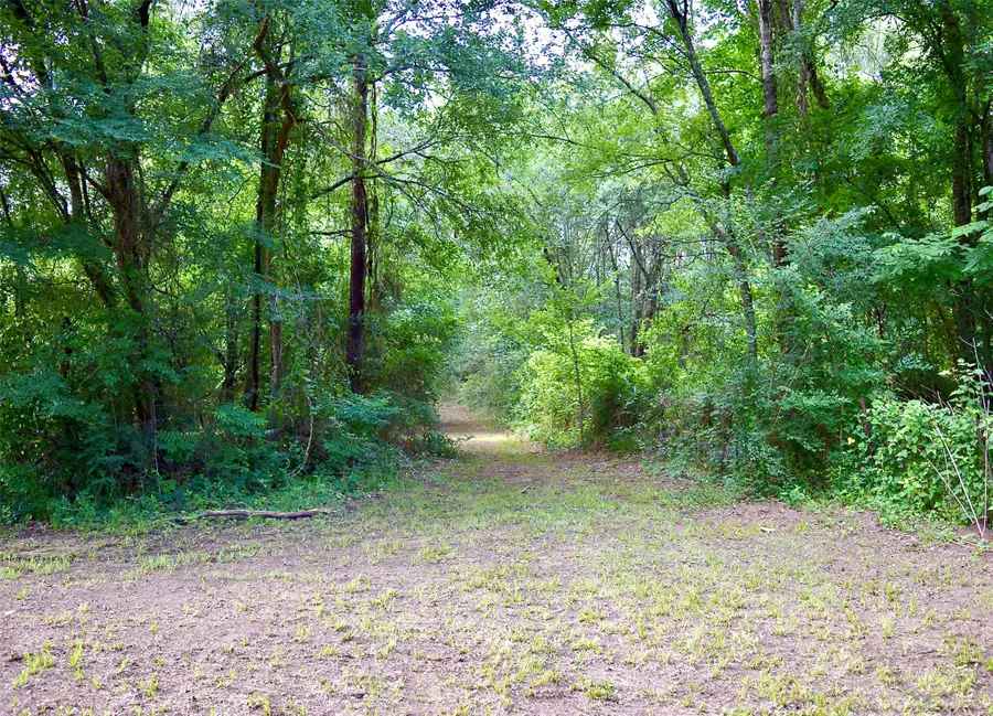 TBD Sharp Road, Montgomery, TX 77356 - #2