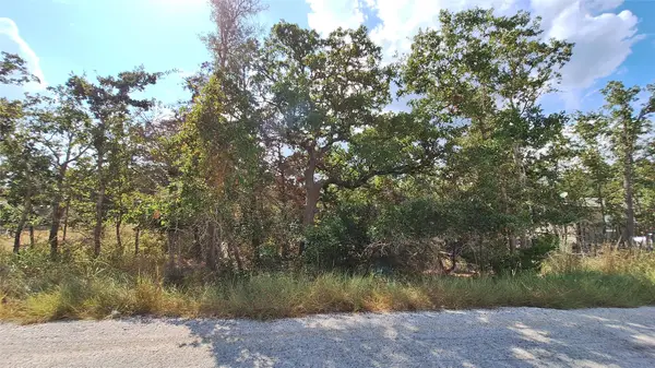 406 Choctaw Crest, Somerville, TX 77879