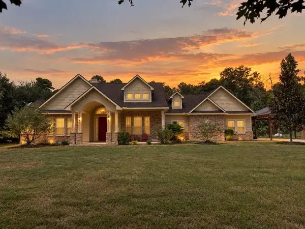 14193 Strausie Lane, Conroe, TX 77302