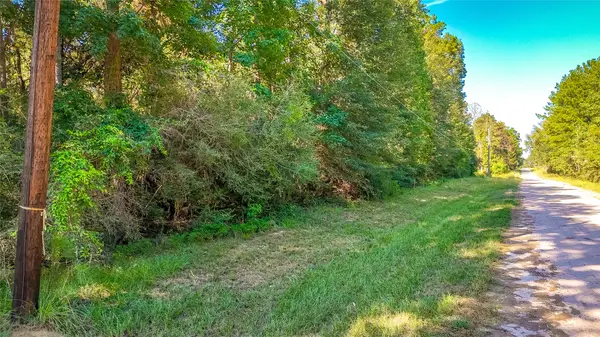 TBD 28 Timber Grove, Livingston, TX 77351