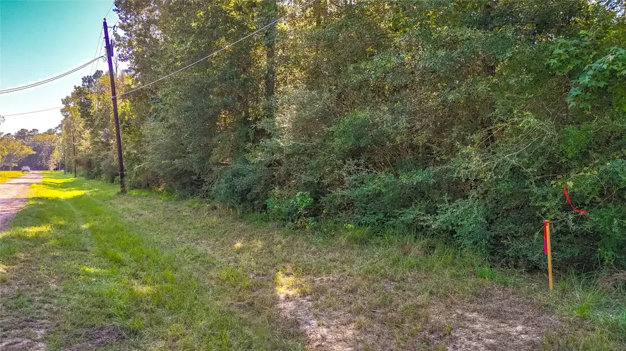 TBD 28 Timber Grove, Livingston, TX 77351 - #3