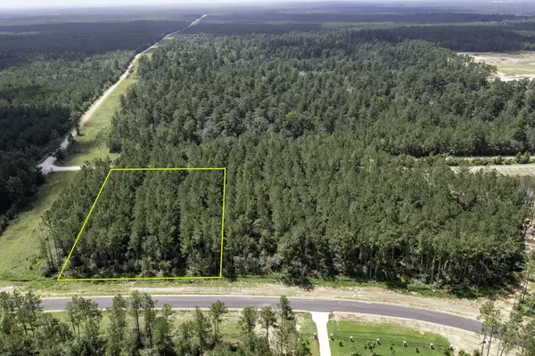 15285 Forest Grove Drive, Willis, TX 77378