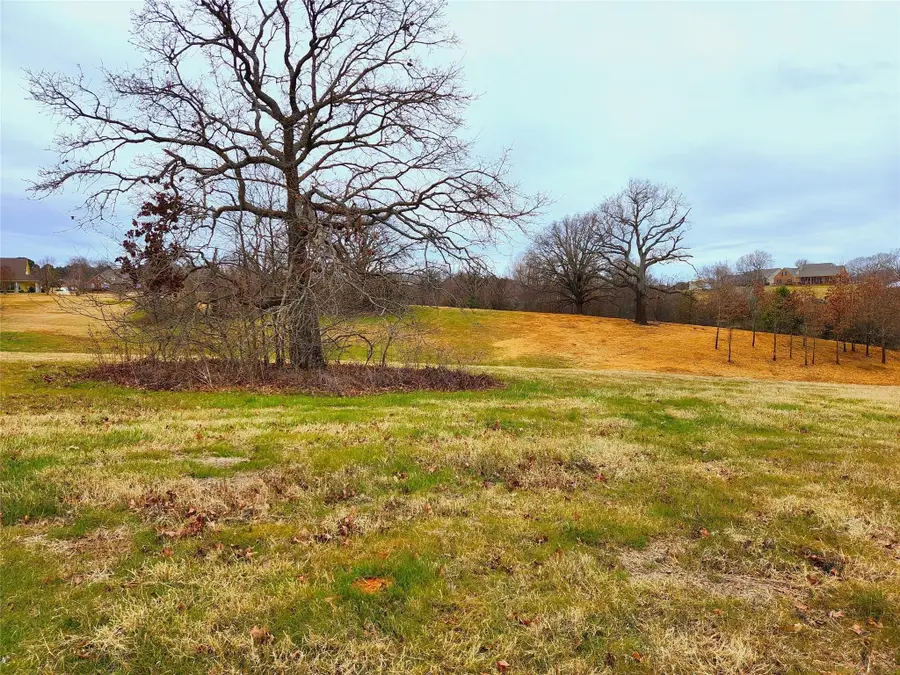 Lot 125 Clear View Court, Athens, TX 75752 - Image #2