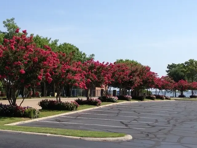12800 Melville Drive #209-B, Montgomery, TX 77356 - #2