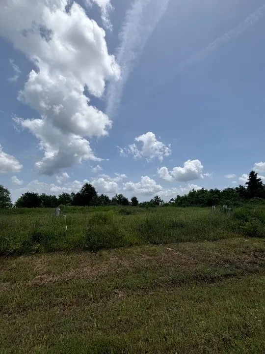 2205 Road 5885, Cleveland, TX 77327 - #3