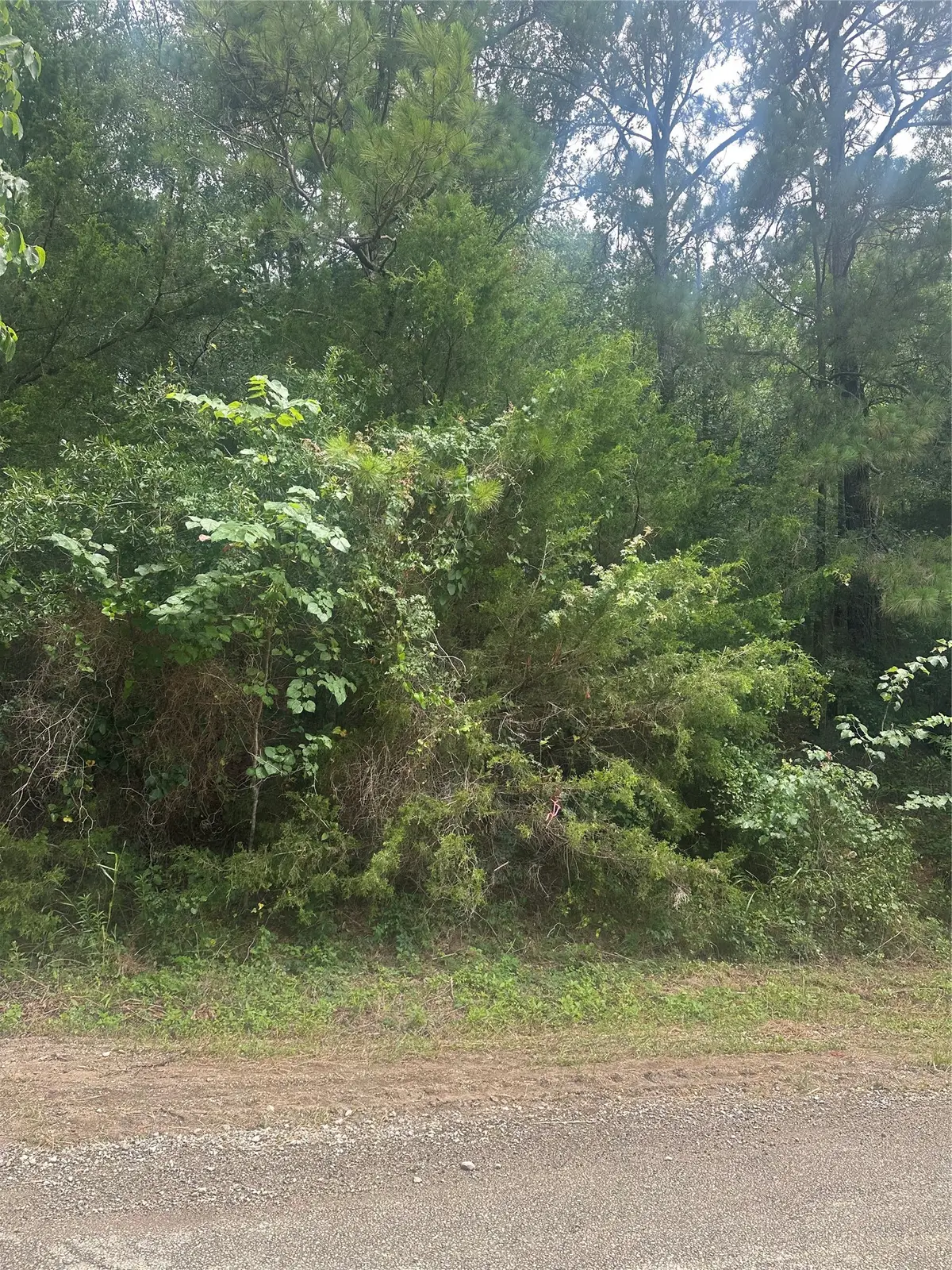 TBD Cedar Valley Drive, Coldspring, TX 77331 - #1