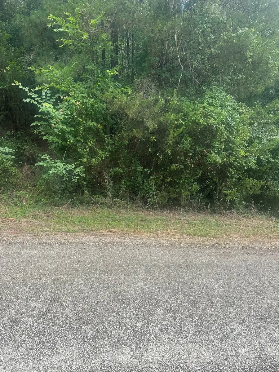 TBD Cedar Valley Drive, Coldspring, TX 77331 - #2