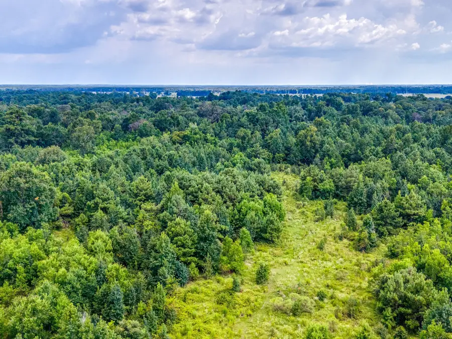 1626 County Road 2060, Hull, TX 77564 - #2