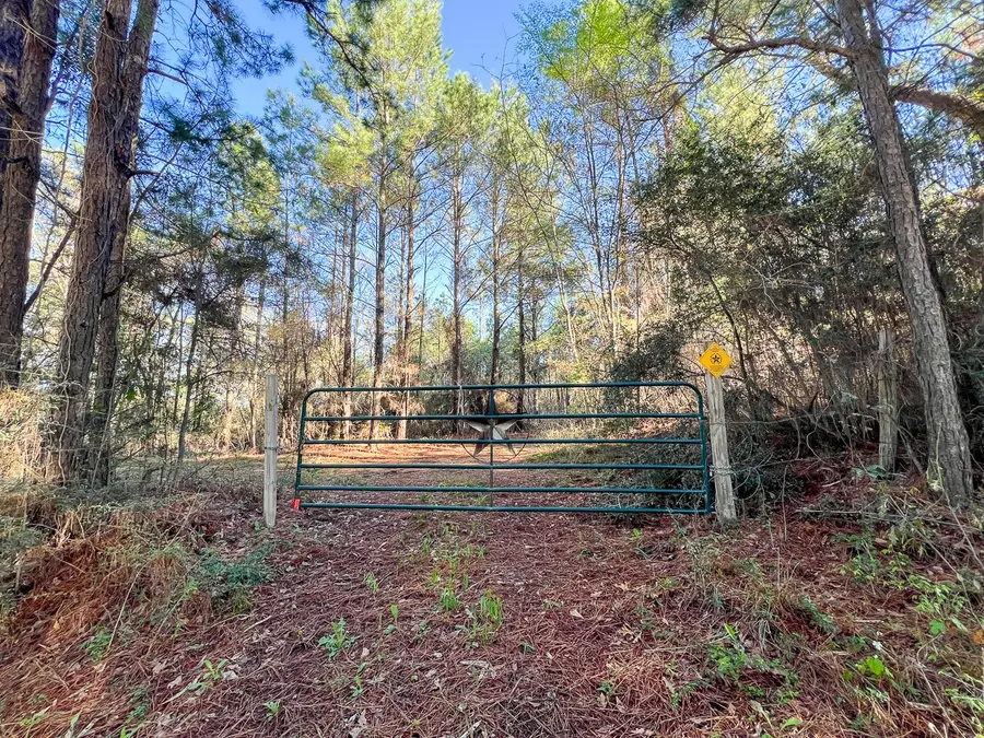 1 Bishop Road, Huntsville, TX 77320 - #2