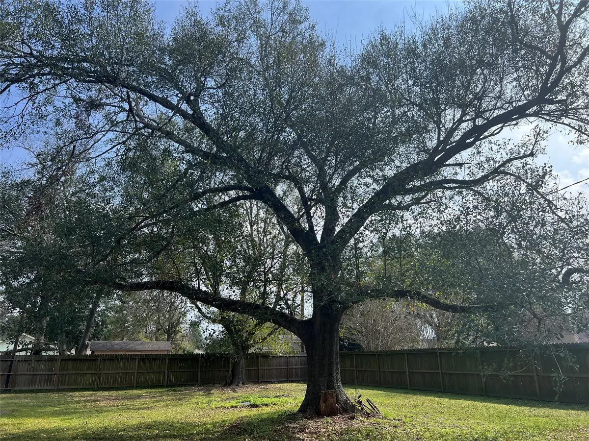 11206 Cedarwood Drive, Humble, TX 77338 - #1